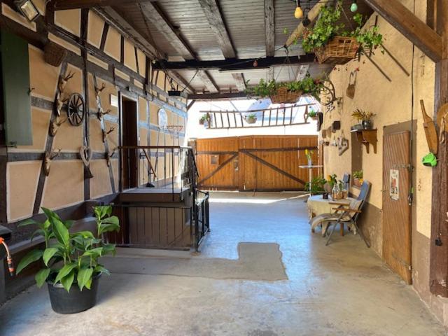 S' Moose Hof Apartment Weisweil  Екстериор снимка